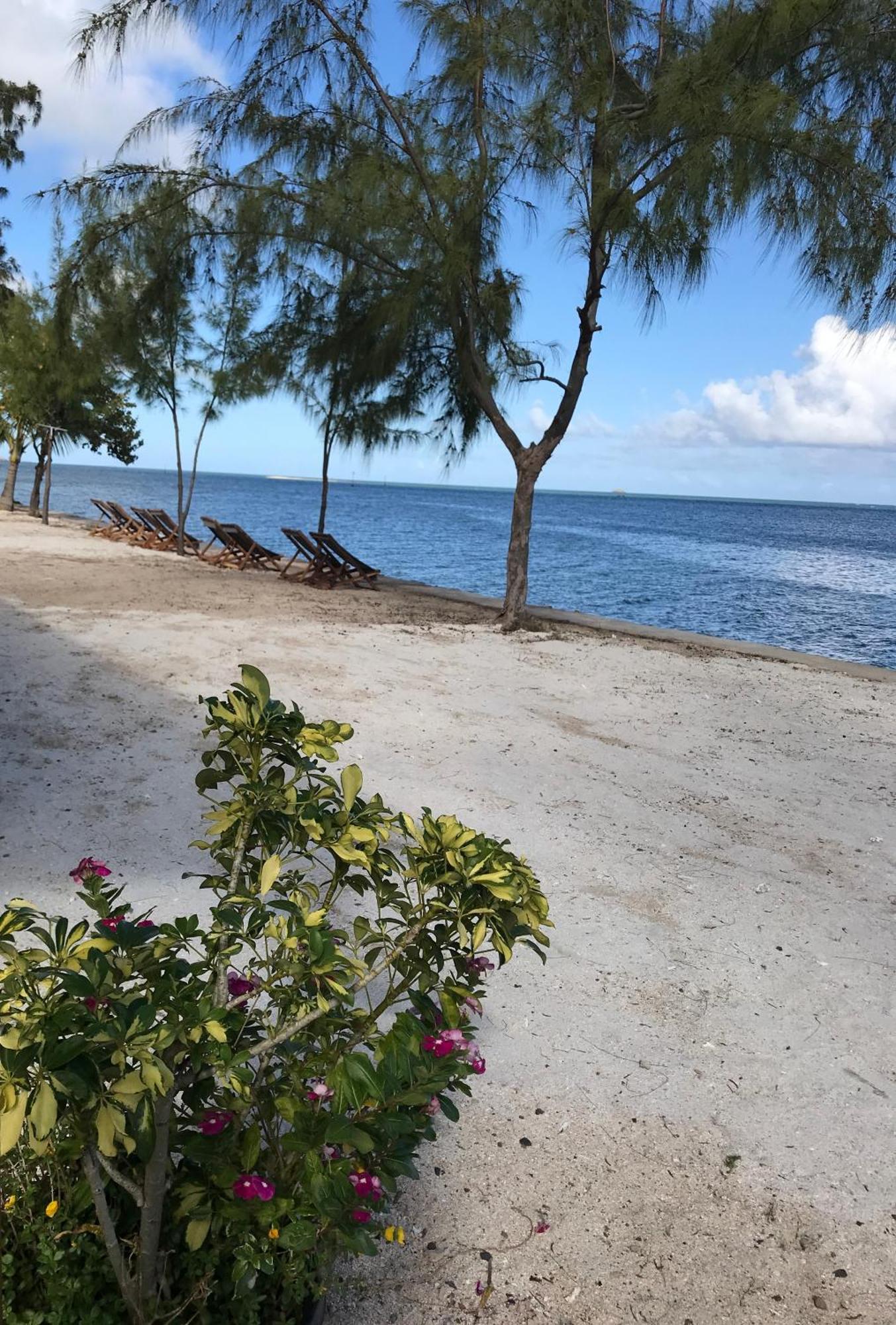 Bon Vivant Front De Mer - Ile Rodrigues بورت ماثورين المظهر الخارجي الصورة